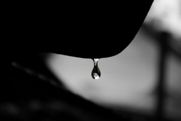 Photo Drip irrigation