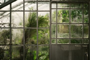 Photo Winter garden
