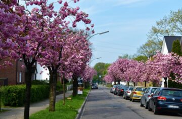 Photo spring trends