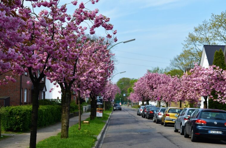 Photo spring trends